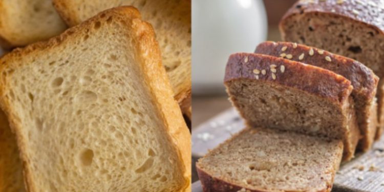 Receta Tradicionale E P rsheshit Me Kula Gruri Dhe Gjel Deti Lab ria Receta Tradicionale E P rsheshit Me Kula Gruri Dhe Gjel Deti Lab ria