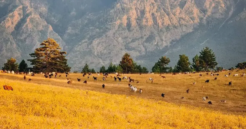 Media italiane shkruan për bukuritë shqiptare: Mundësi unike për në Pranverë!