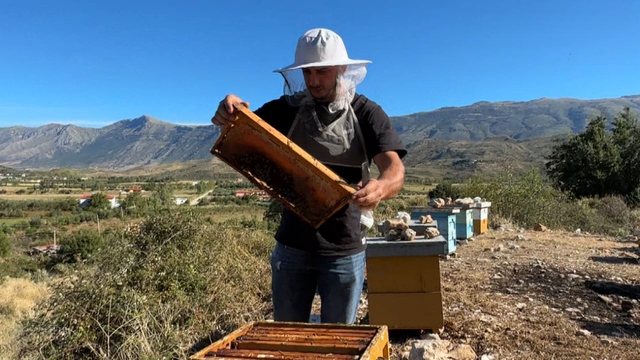 La emigrimin për vendlindjen, 28-vjeçari prodhon mjaltë në Dukat